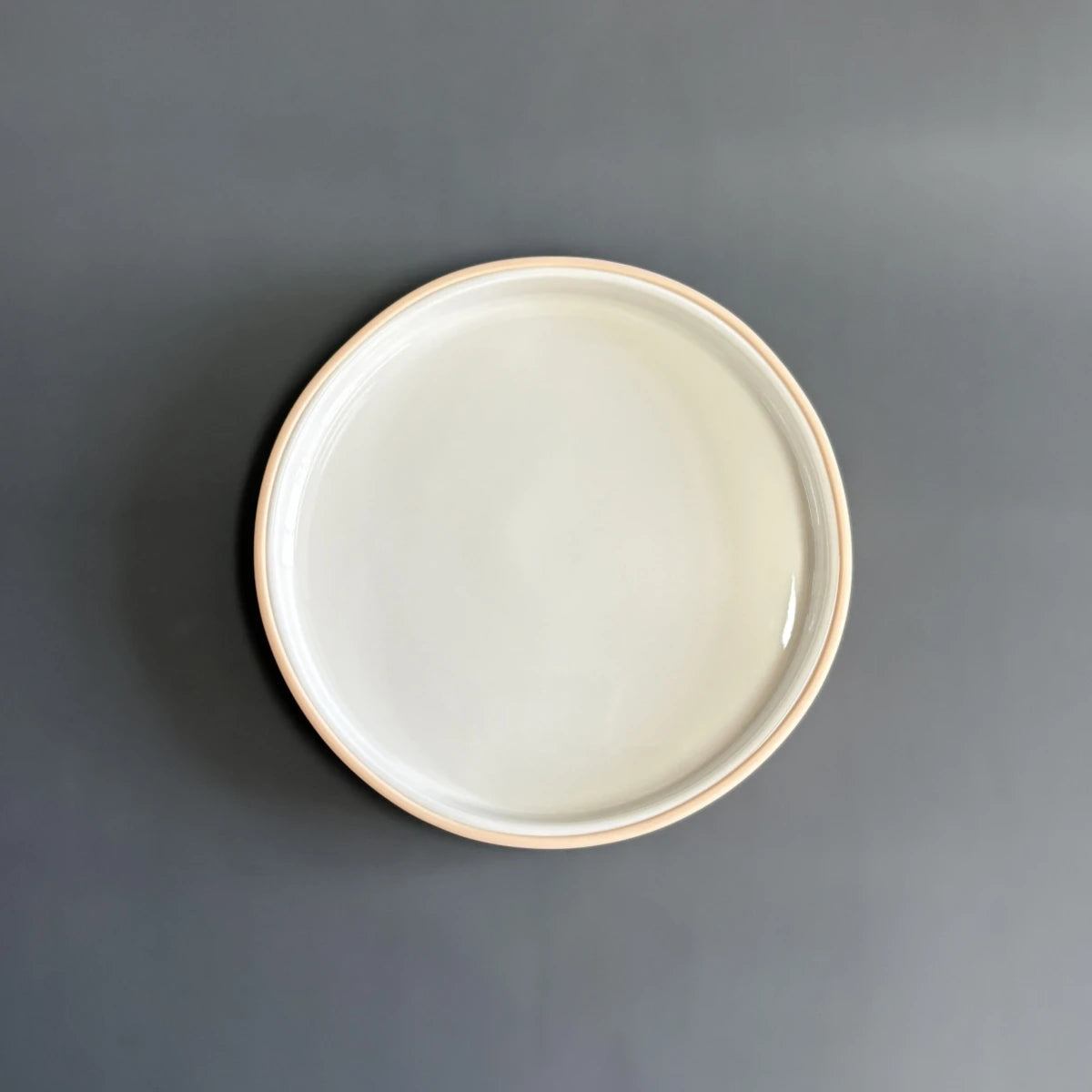 Porcelain White Plate with Silicone Sleeve
