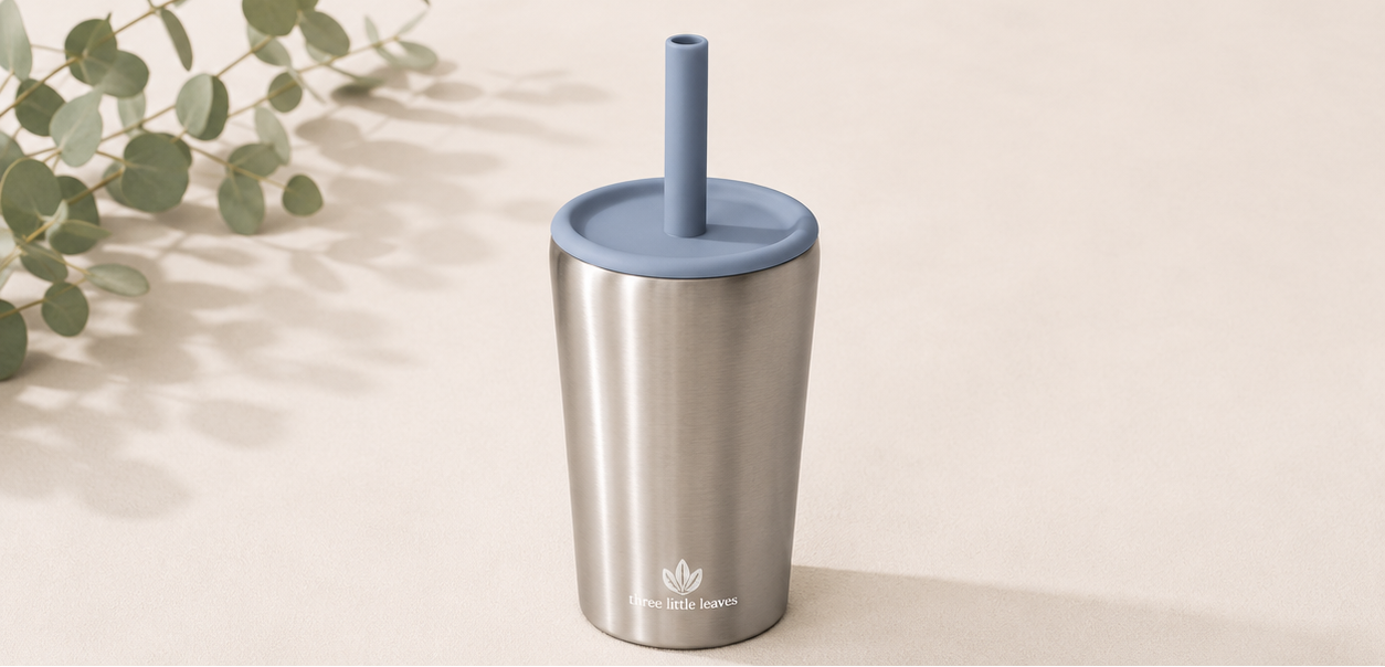 Stainless Steel Cup with Silicone Lid & Straw