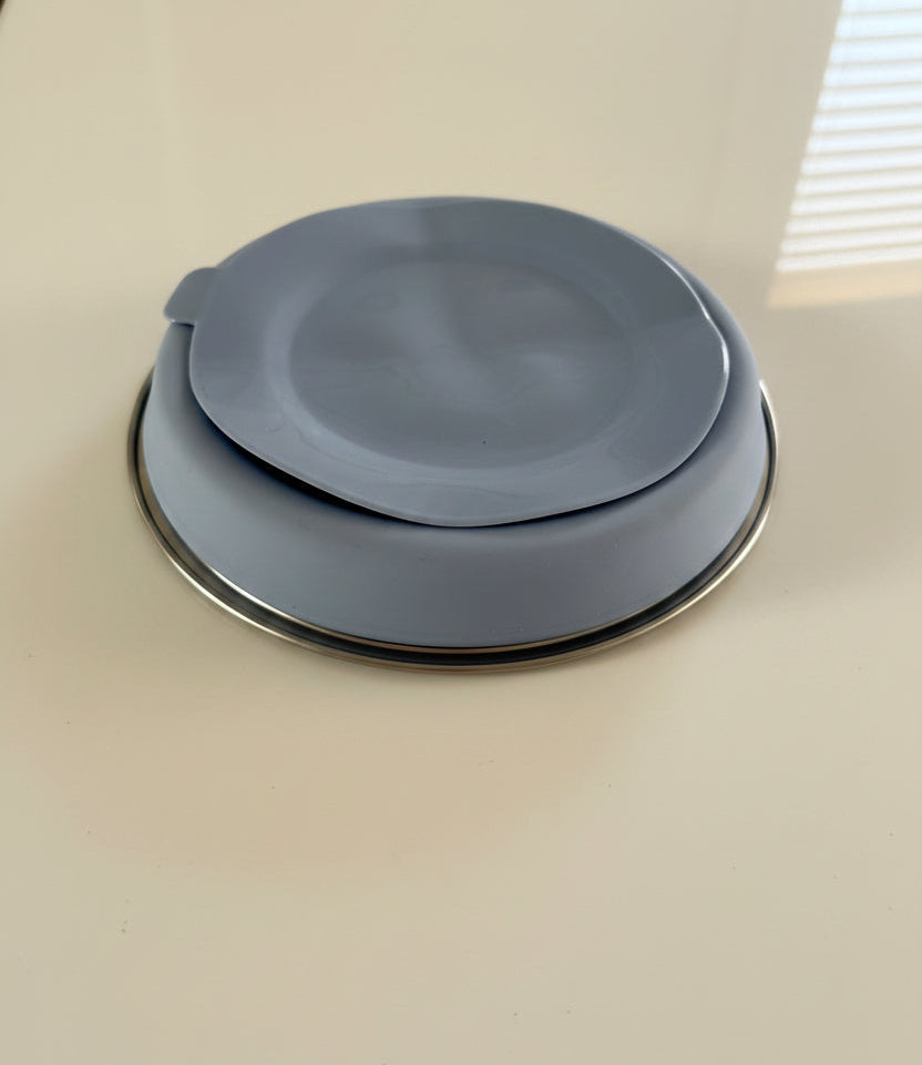 Stainless Steel Plate with Divider and Silicone Sleeve