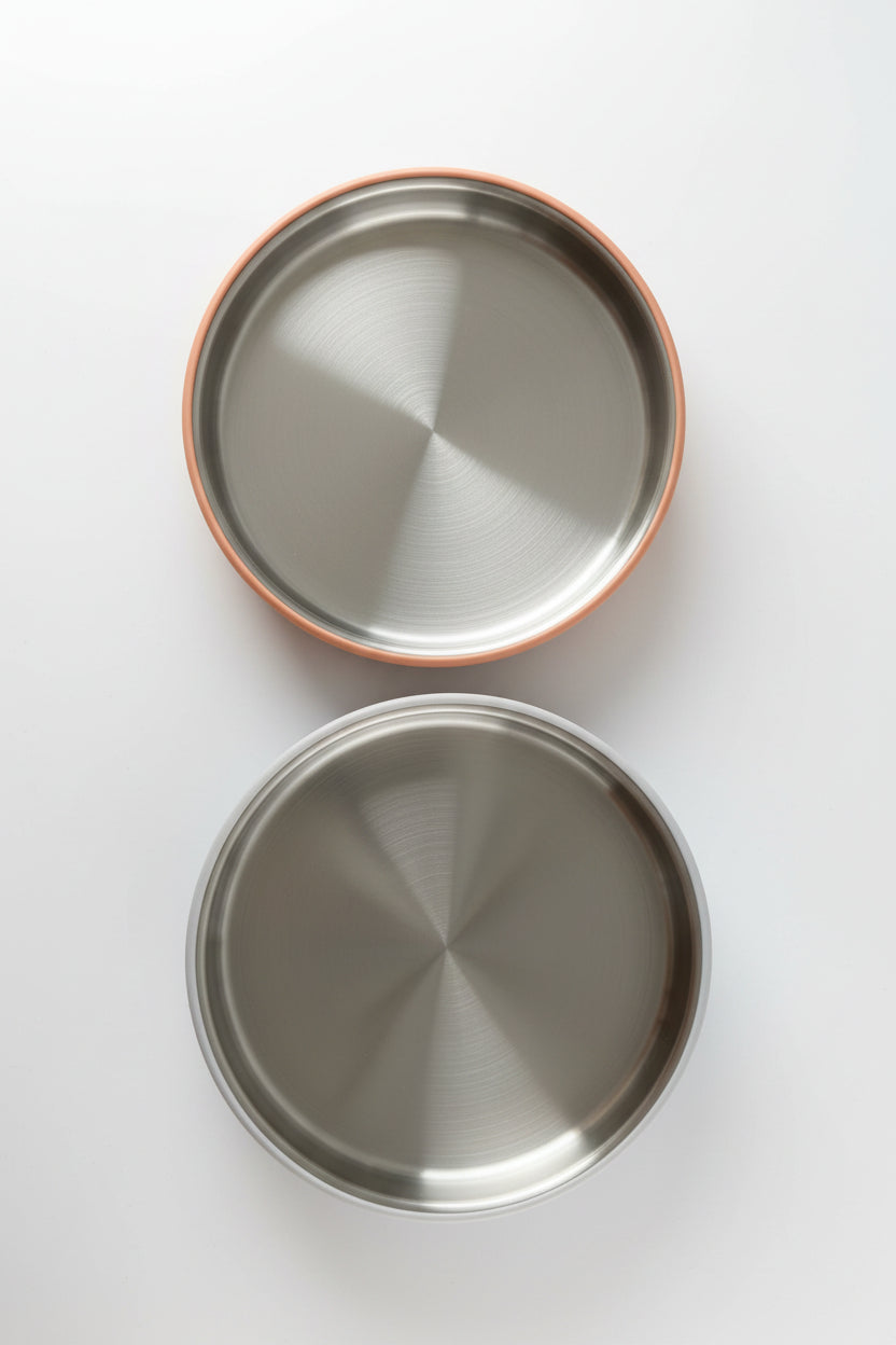 Stainless Steel Plate with Silicone Sleeve
