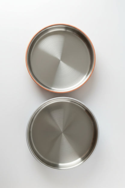 Stainless Steel Plate with Silicone Sleeve