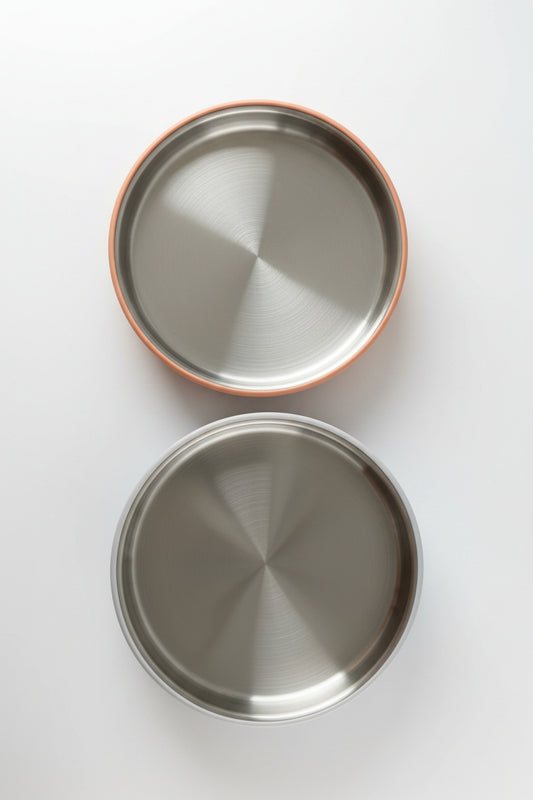 Stainless Steel Plate with Silicone Sleeve