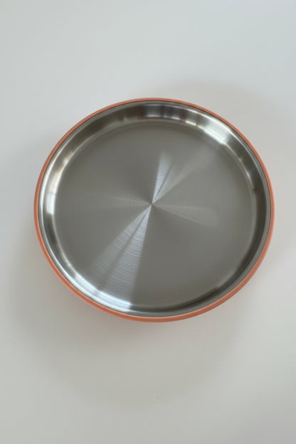 Stainless Steel Plate with Silicone Sleeve
