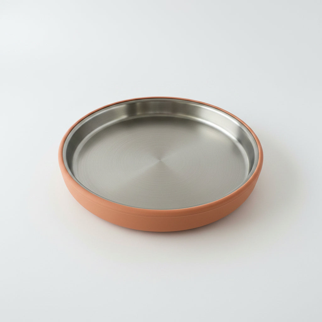 Stainless Steel Plate with Silicone Sleeve