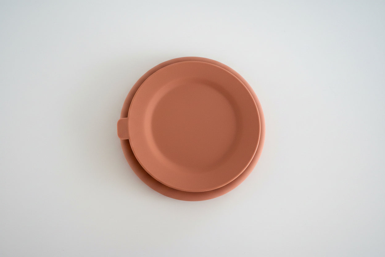 Stainless Steel Plate with Silicone Sleeve